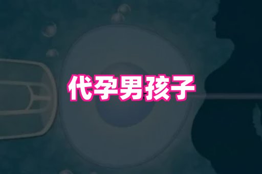 长春助孕网 3
